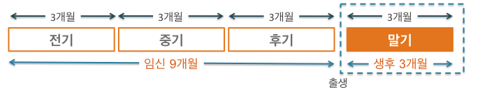 임신 4기를 설명하는 그림