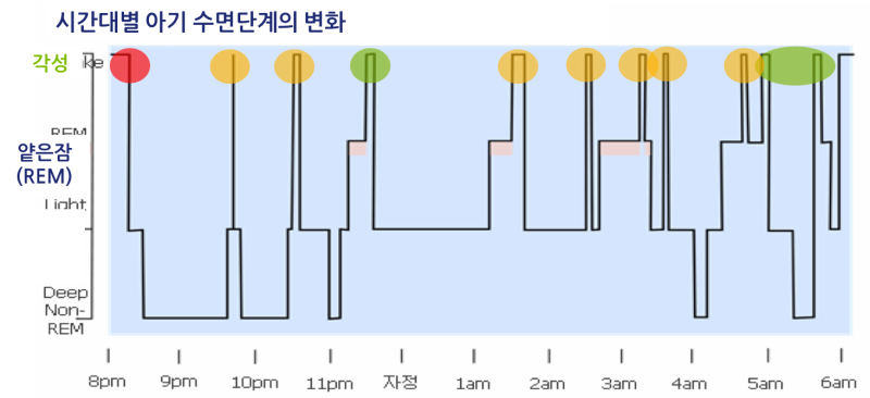 시간대별 아기 수면단계의 변화 그래프. 빨강, 주황, 초록 동그라미가 아기가 밤에 깰 수 있는 각성 시간대