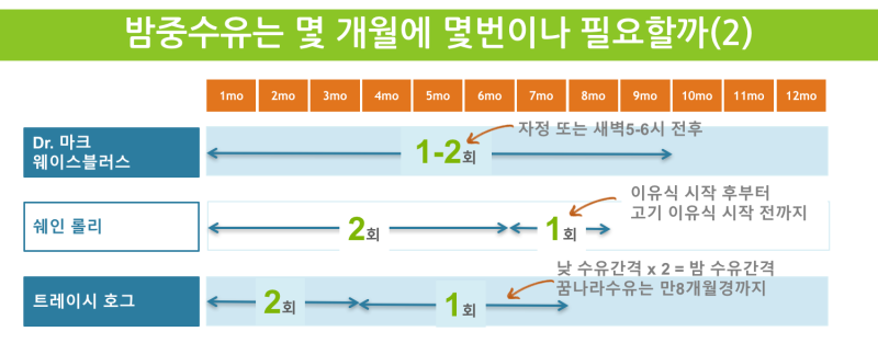 밤중수유 횟수: 마크 웨이스블러스, 쉐인 로울리, 트레이시 호그의 월령별 제안 (2)