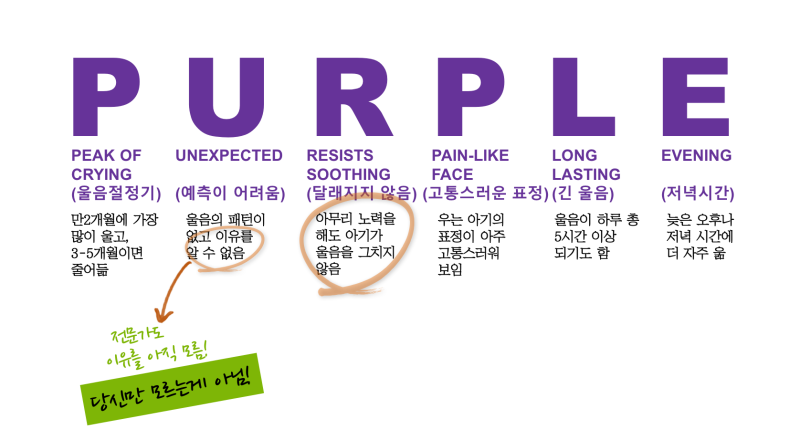 PURPLE의 여섯 글자가 아기 울음의 특징을 뜻하는 설명 인포그래픽